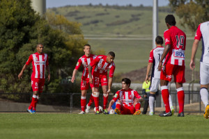 Melbourne Heart found the going hard against Adelaide. Photo: Zee Ko