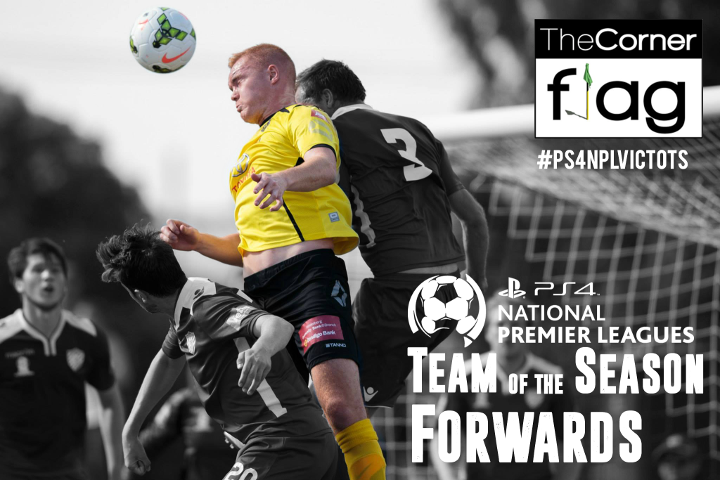 NPL TOTS 2015 Dan Heffernan