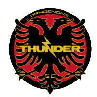 tcf_logo_dandenong-thunder