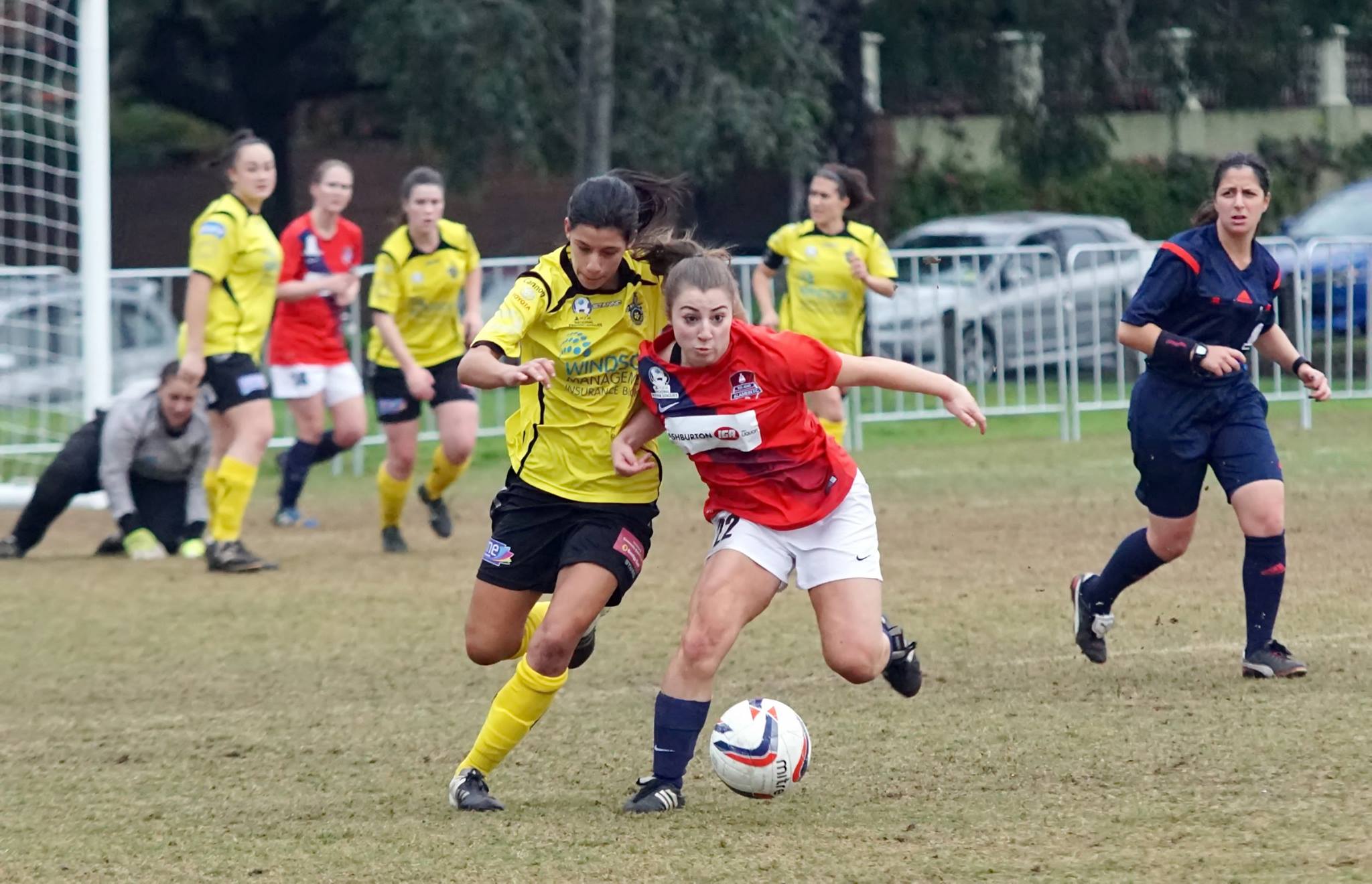 13320387_1751441068412449_6471151639582181183_o