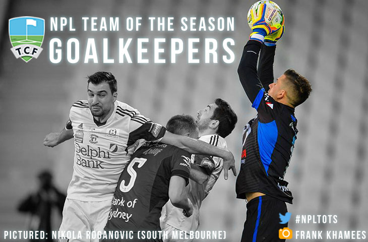NPL Team of the Season Graphic Header Goalkeepers - Nikola Roganovic