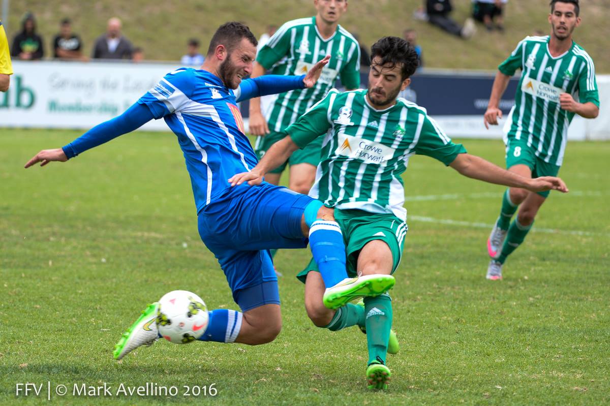 bounas-mark-avellino