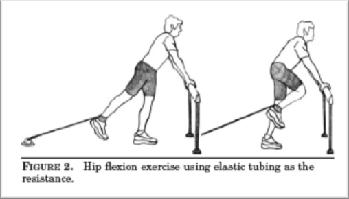 Fig 2. Hip flexor strengthening exercuse. Taken from “Deane, R.S., et al., EFFECTS OF HIP FLEXOR TRAINING ON SPRINT, SHUTTLE RUN, AND VERTICAL JUMP PERFORMANCE”. The Journal of Strength & Conditioning Research, 2005. 19(3): p. 615-621.